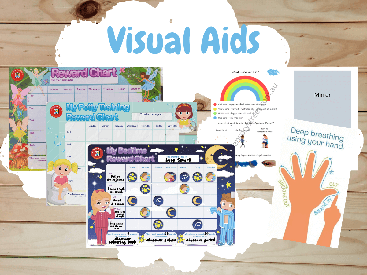 Visual Aid Category