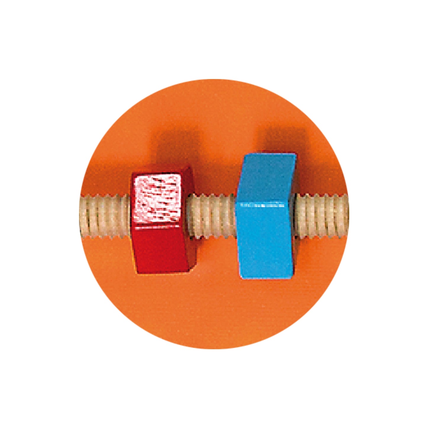 VIGA interactive wall activity bear Activity 3