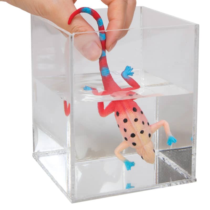 Colour Change Revealeons in warm water