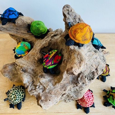sand filled small turtles