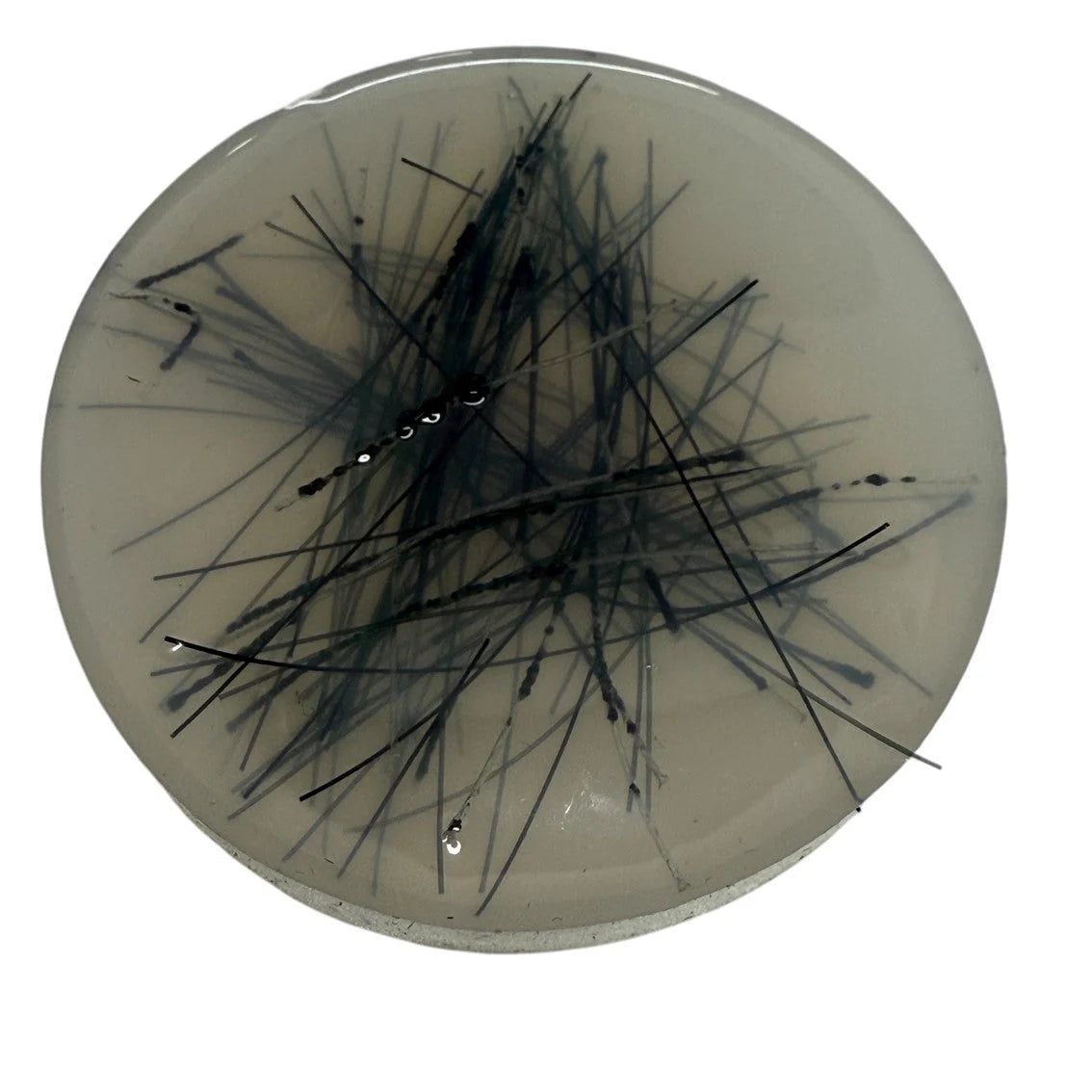 Kaiko Pick Em nylon line and polyester