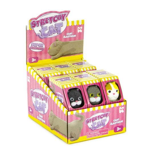 Stretchy Kitten Fidget  in box