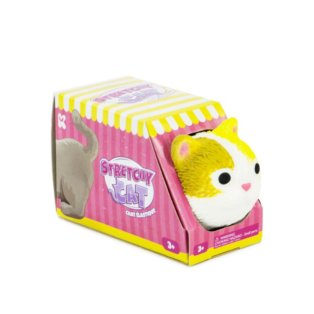 Stretchy Kitten Fidget  in box