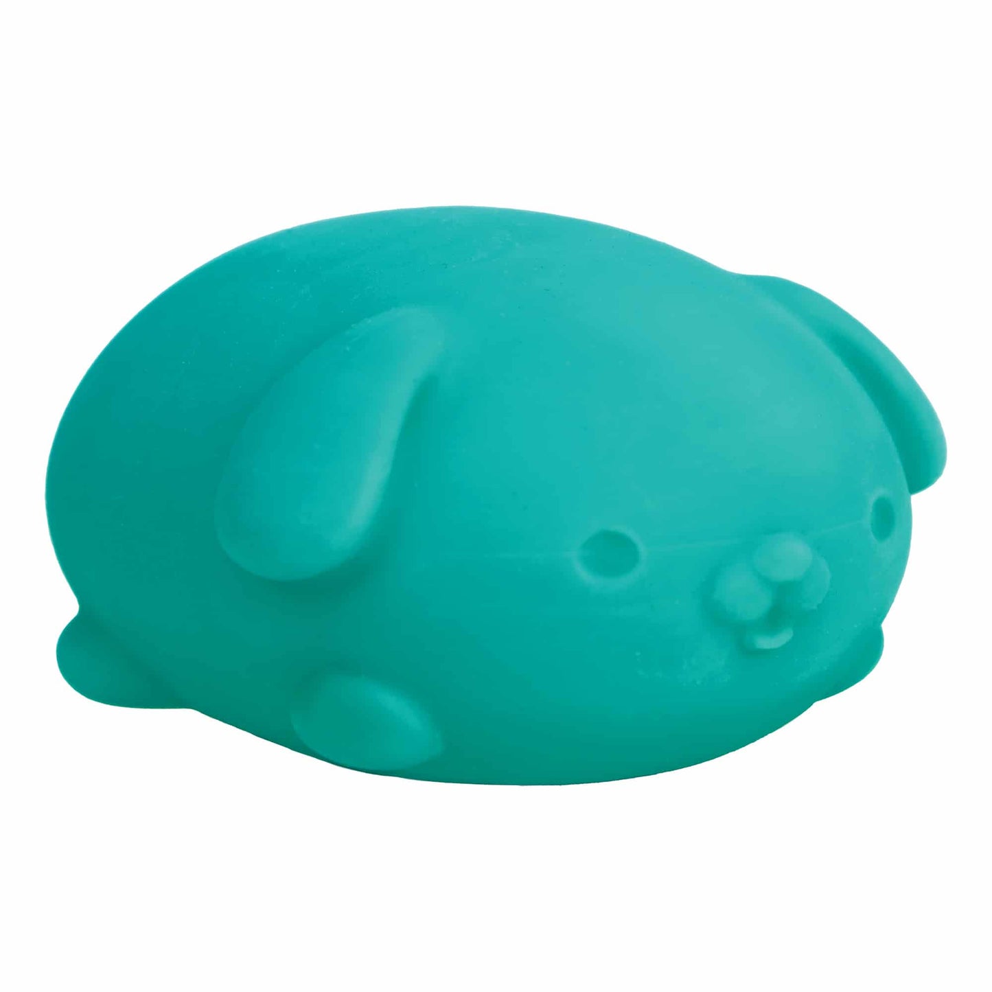NeeDoh Funky Pup teal