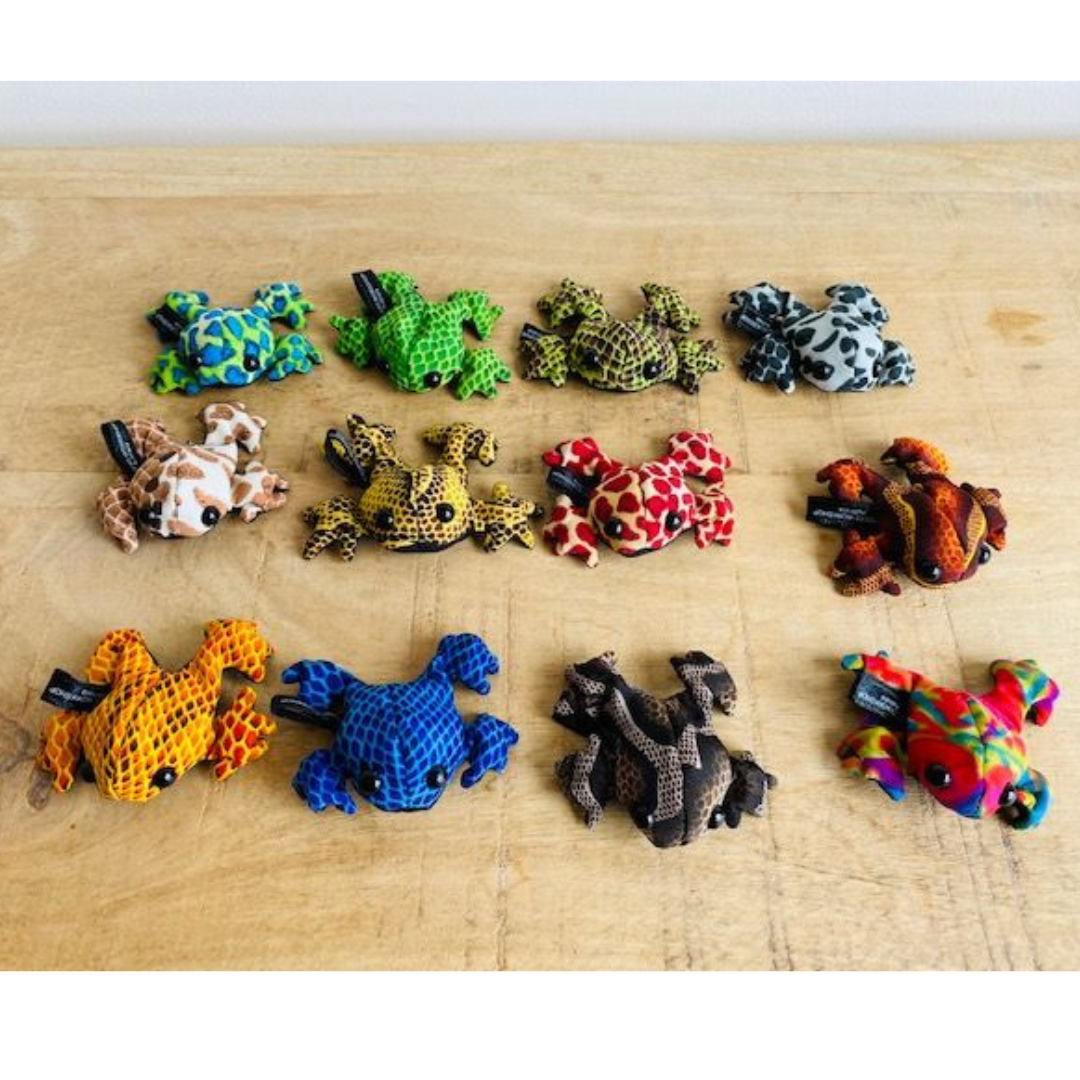 sand filled small frogs