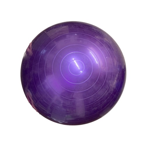 Sensory Sensations Exercise Ball 55cm purple