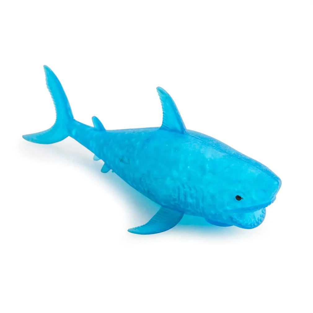 Water orbs shark