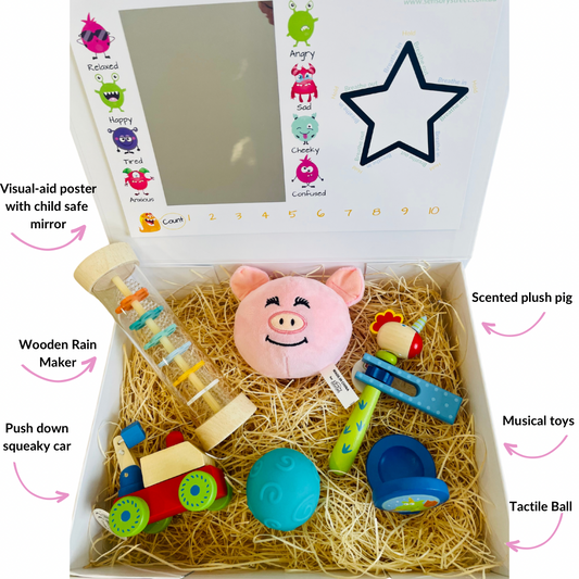 Tiny Tots Sensory Gift Box - Dragon theme