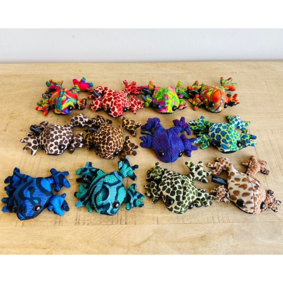 sand filled small frogs