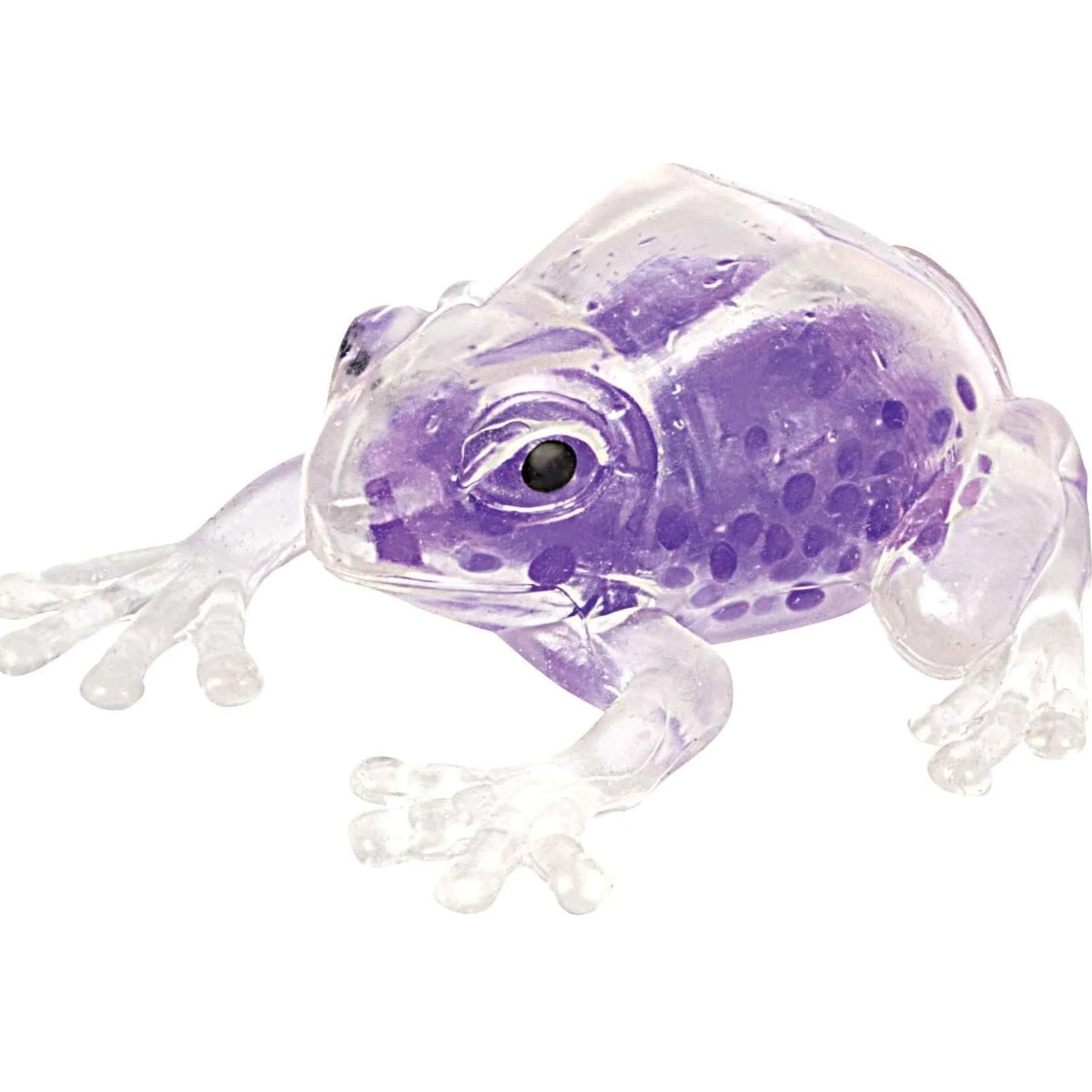 Squish The Frog PUrple