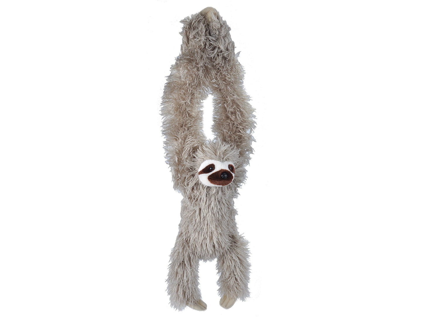 Hanging Three Toed Sloth