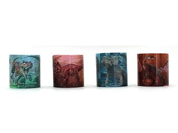 Dinosaur Theme Party Bags