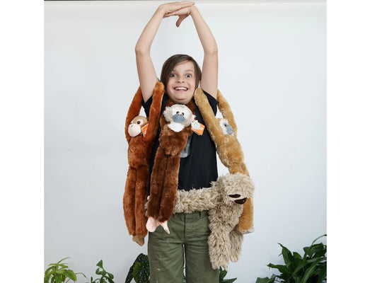 Boy with Hanging Monkeys
