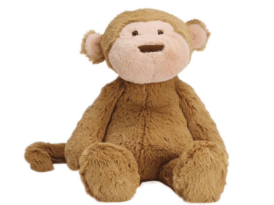 Elizabeth Richards monkey