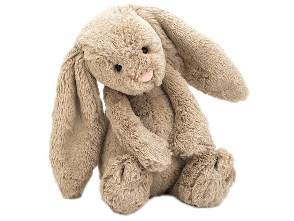 Elizabeth Richards rabbit