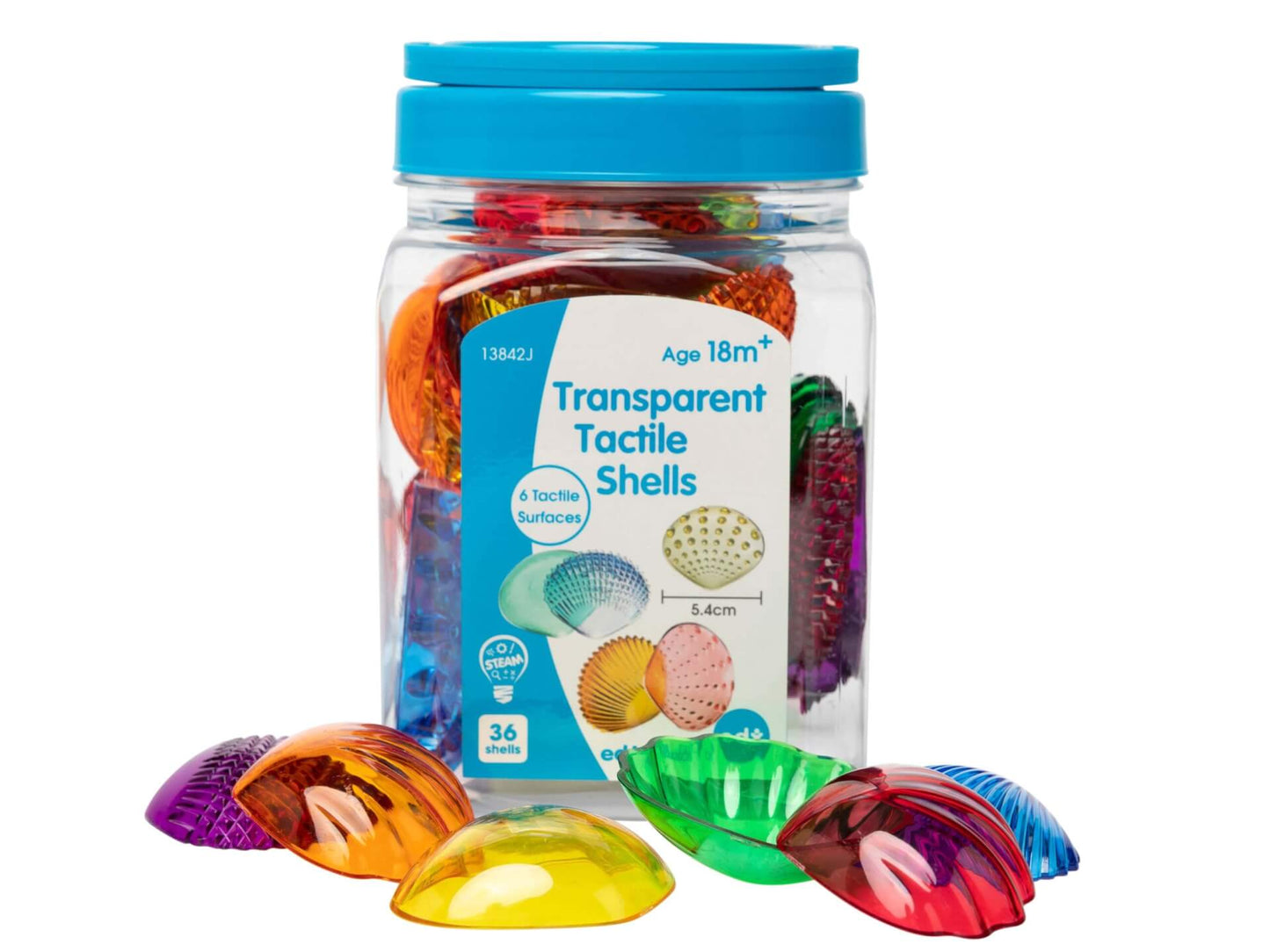 Tactile Shells Coloured