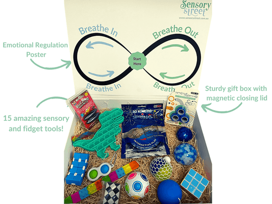 Mega Discovery Sensory and Fidget Box