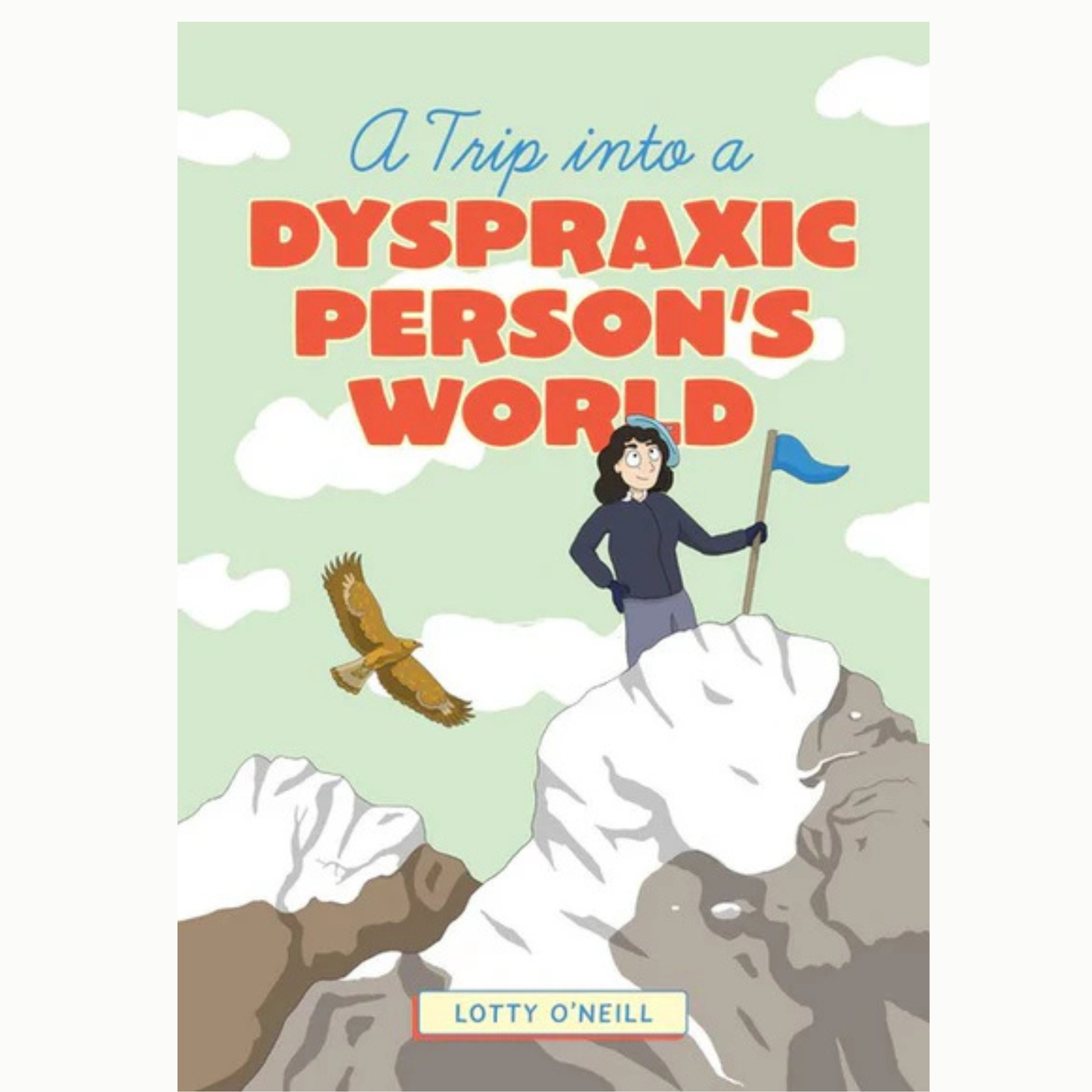 A Trip into a Dyspraxic Persons World Book Cover