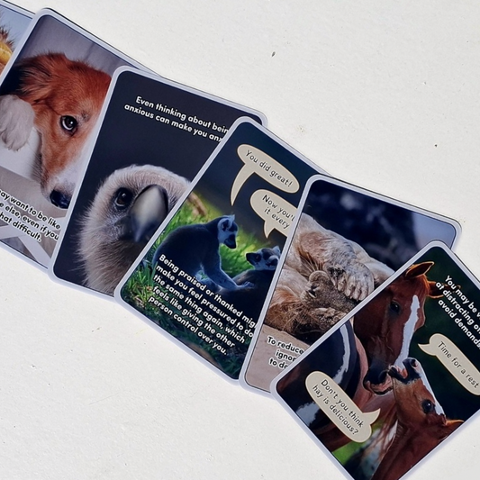 All About Neurodiversity Card Deck sample