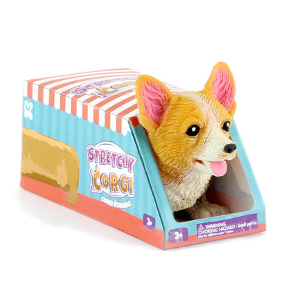 Stretchy Corgi Dog in box