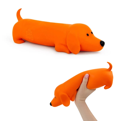 The Big Squij Dachshund