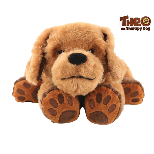adorable brown dog with it's feet forward and flopped over them, name tag says Theo the Therapy Dog.