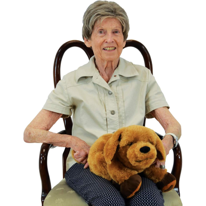 Woman holding Theo weighted therapy dog