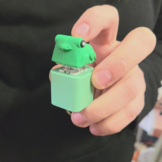 Croaking Frog Keychain video