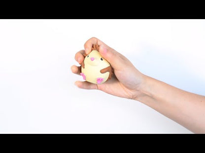 Smoosho Mini Animals Video