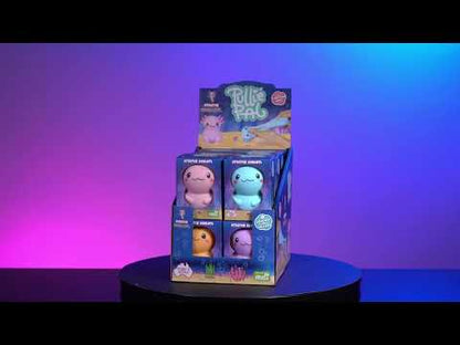 Pullie Pals Stretch Axolotl video