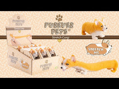 Pullie Pal Furever Pets Stretch Corgi video
