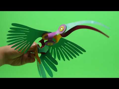 Clixo Tropical birds pack video
