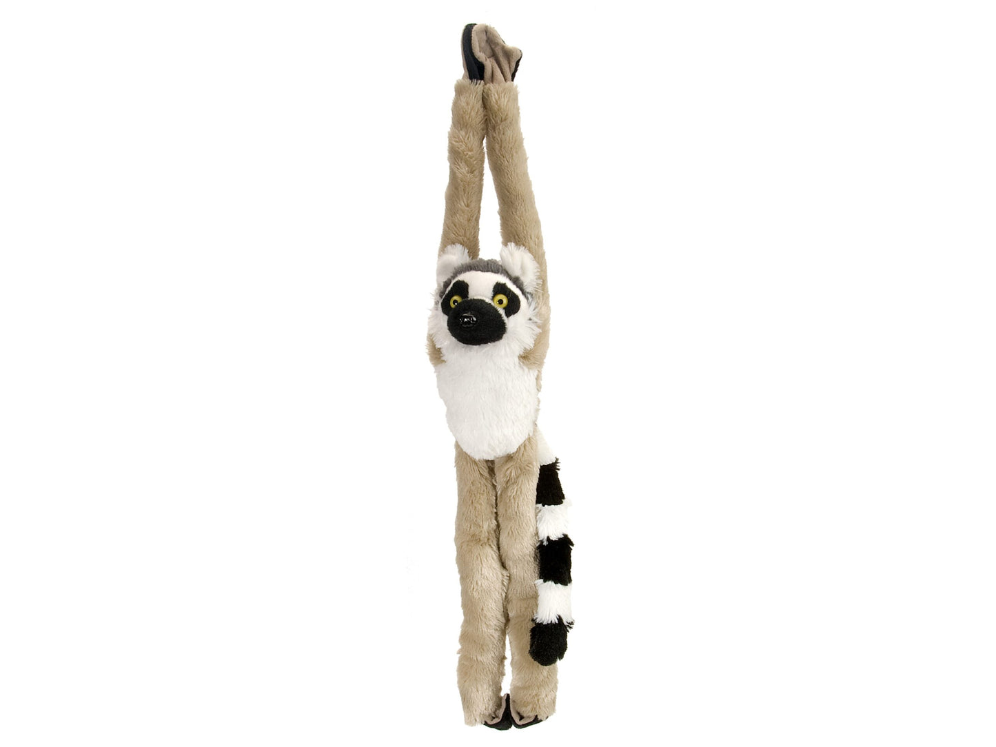 Hanging Ring Tailed Lemur