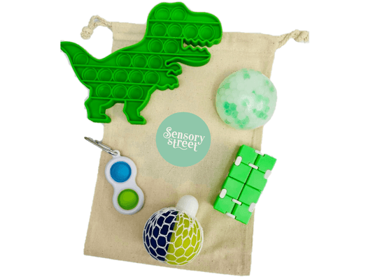 Dinosaur Sensory Bag