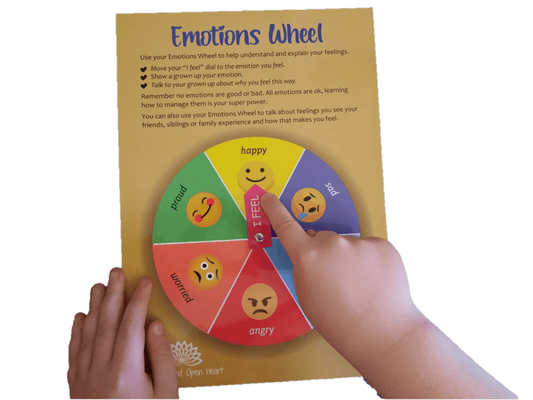 Emotions Wheel with boy